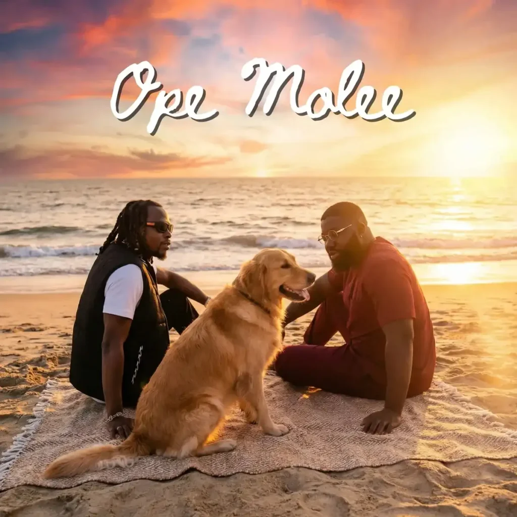 ePianoh – Ope Molee