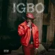 IGBO by Didi B