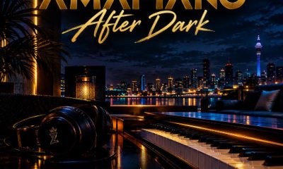 Deejay Zebra SA - Amapiano After Dark (Album)